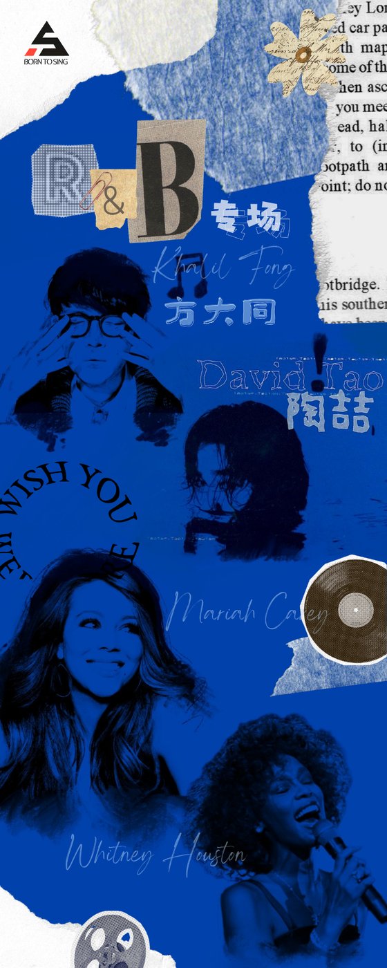 Singer collage