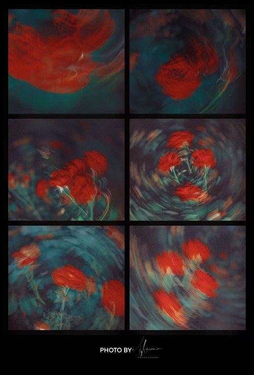 Six frames